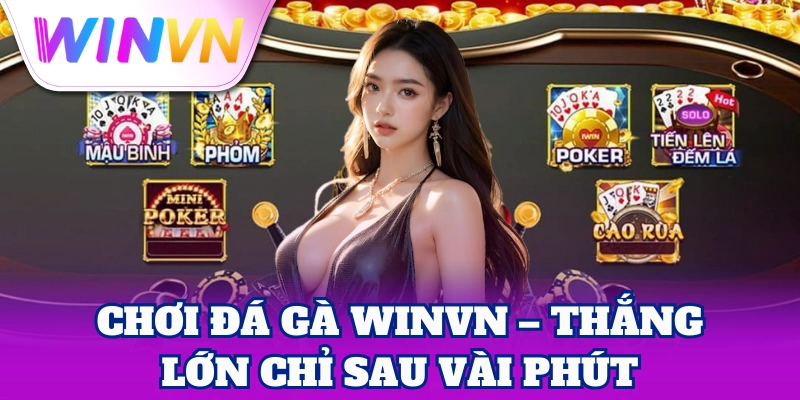 Chơi Đá Gà WinVN – Thắng lớn chỉ sau vài phút